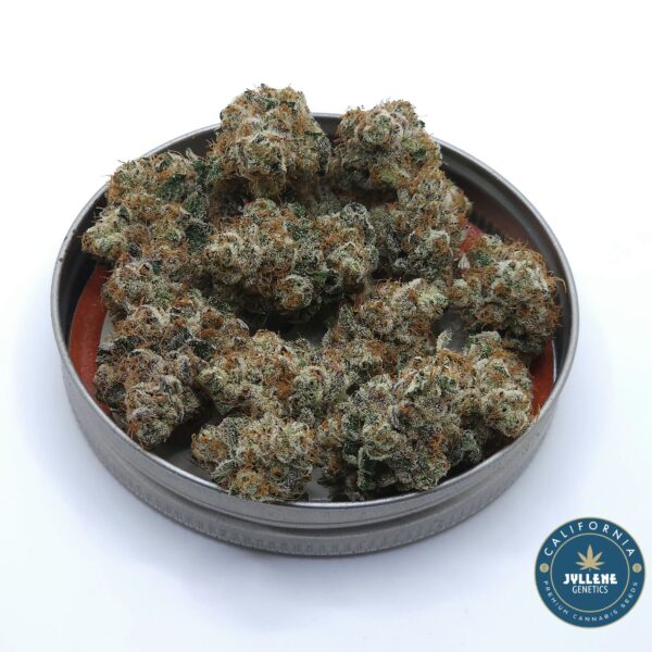 Fizzberry - Image 5