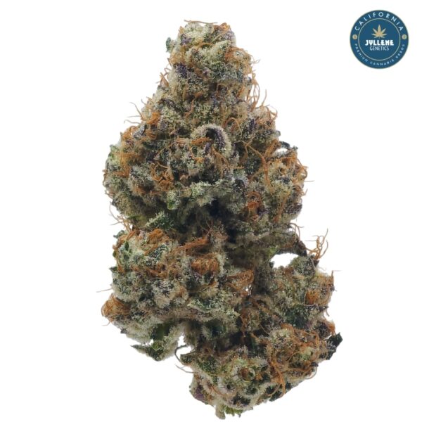 Fizzberry - Image 2