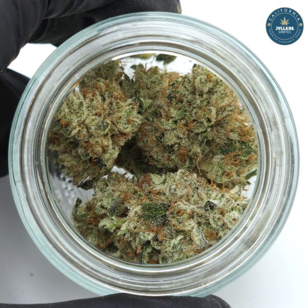 Blue Surge - Image 3